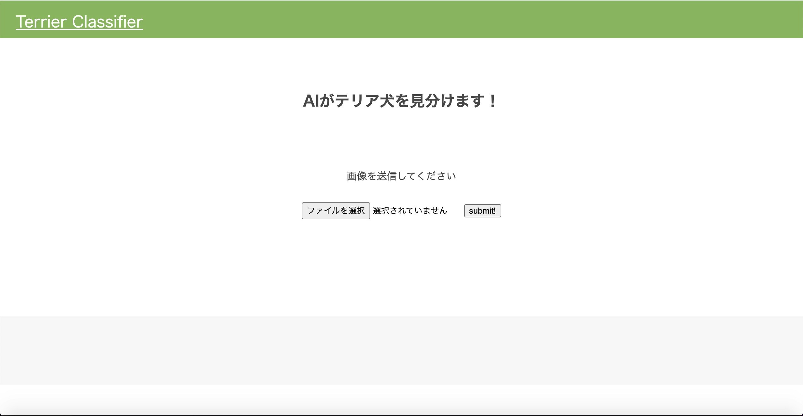 Terrier Classifier.jpg