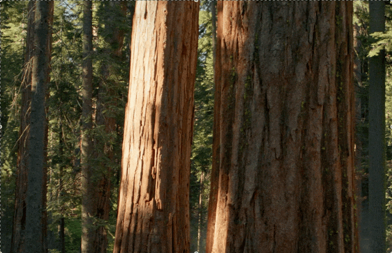 画面収録 2025-12-11 1.27.19.gif