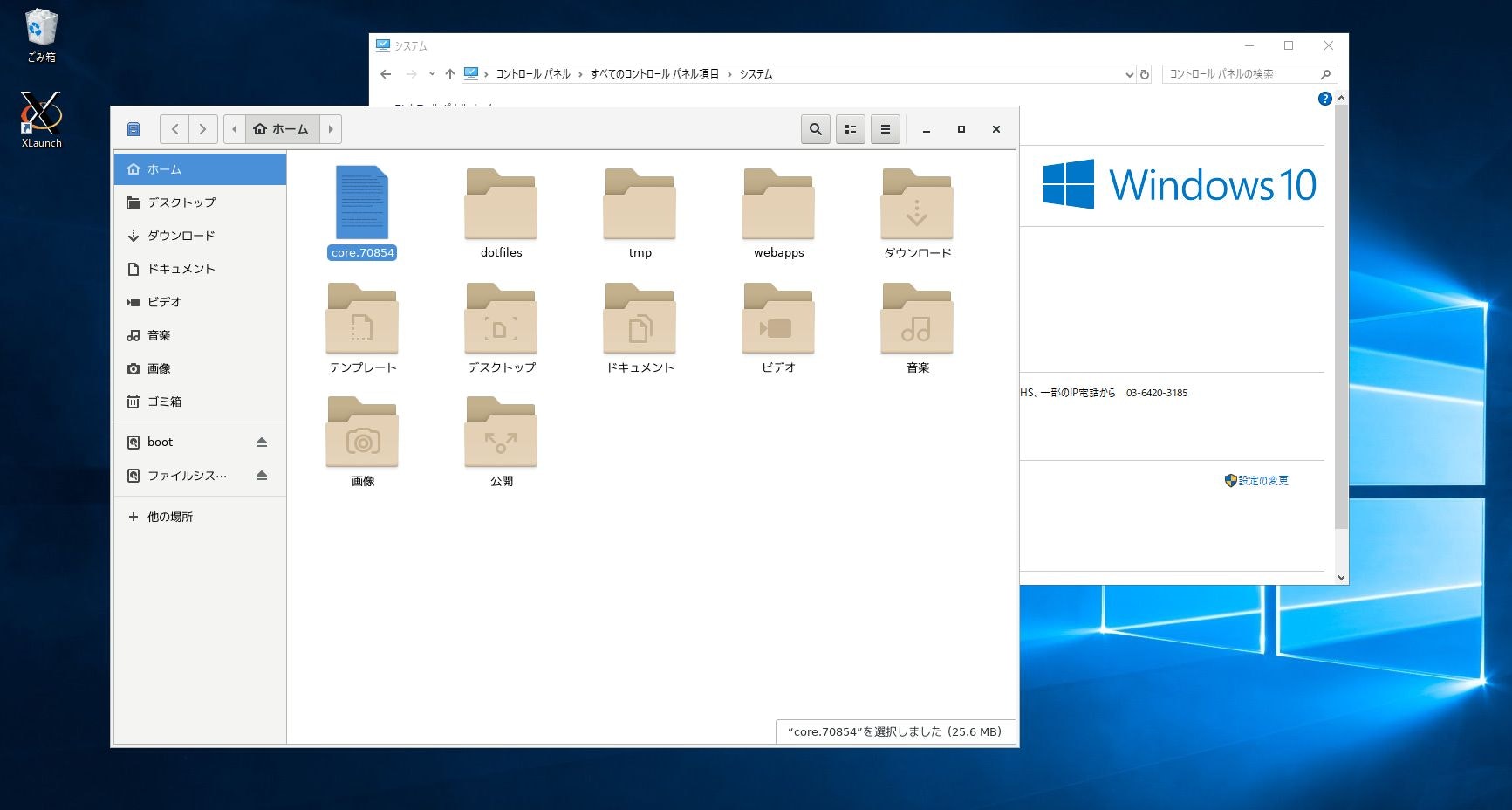 x11-windows.jpg
