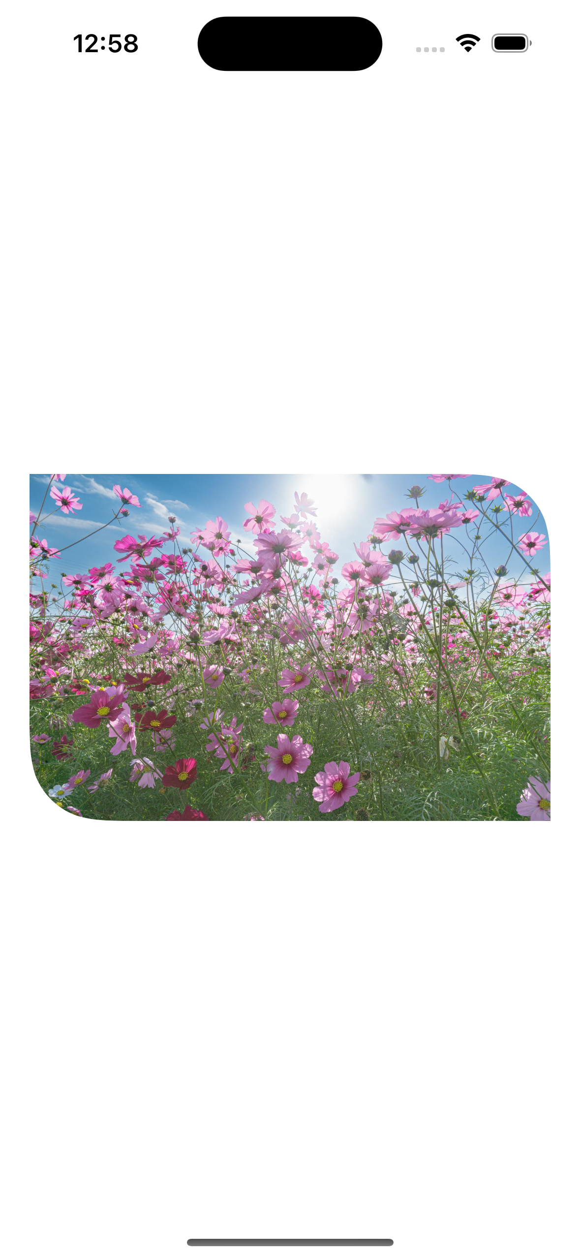 Simulator Screenshot - iPhone 15 - 2023-11-25 at 12.58.35.png