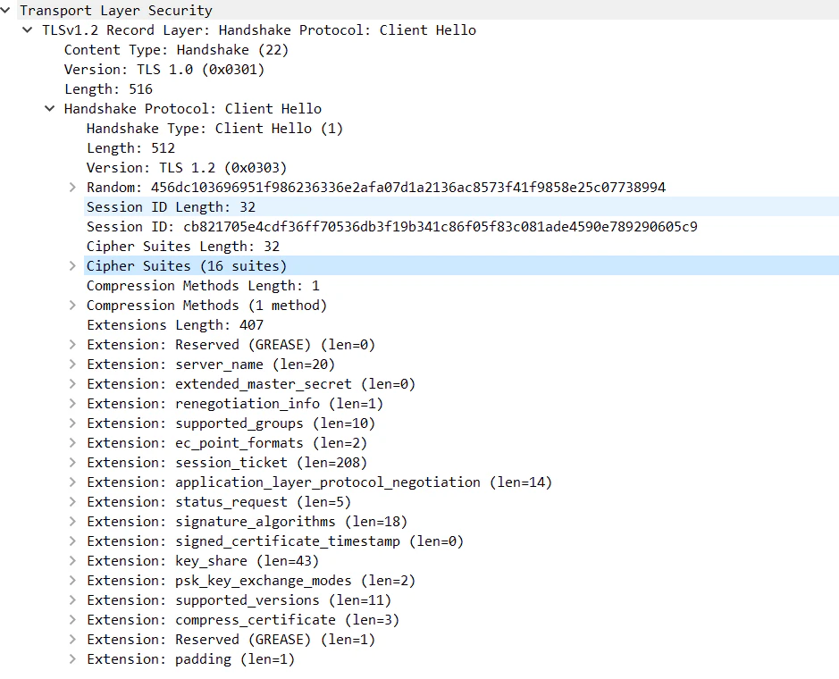 TLS1.PNG