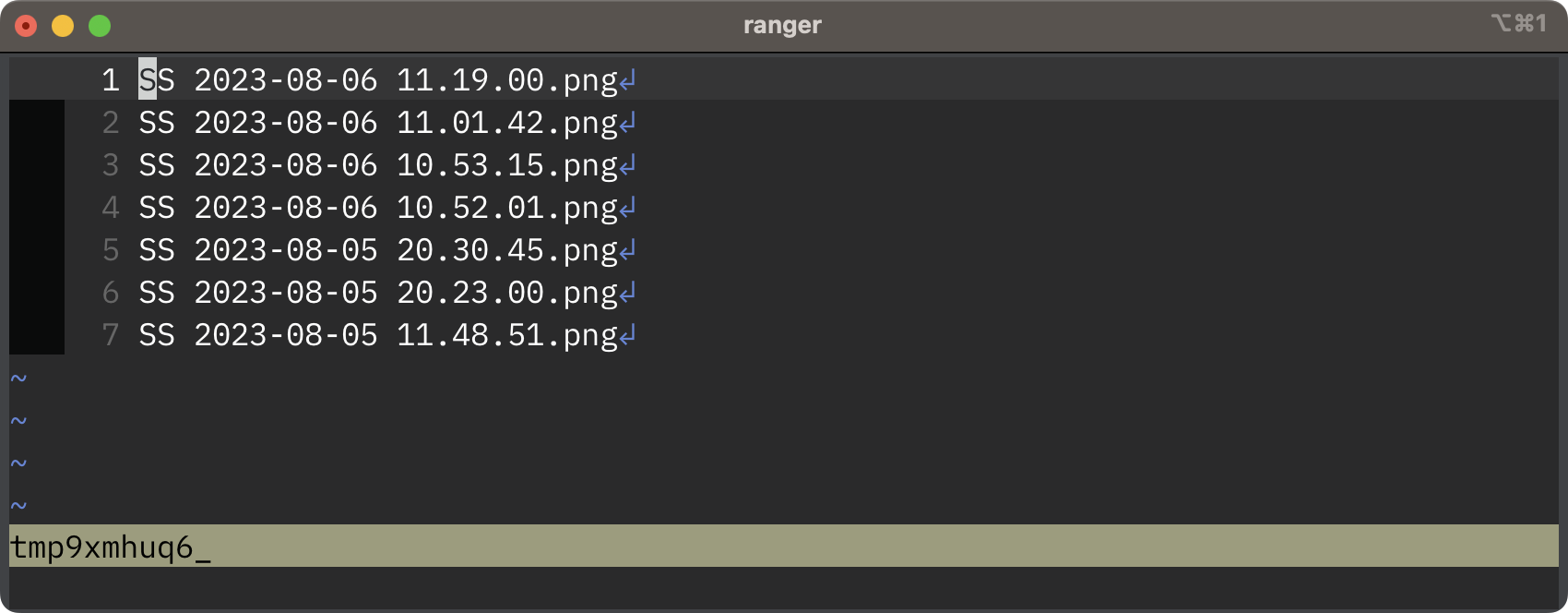 SS 2023-08-06 12.02.31.png