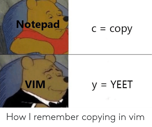 notepad-c-copy-vim-y-yeet-how-i-remember-copying-63476708.png