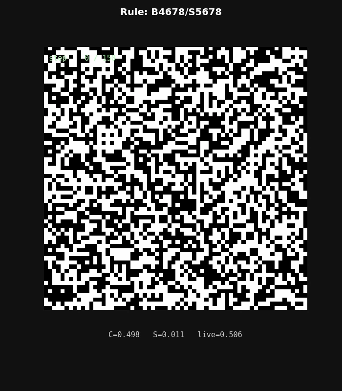 B4678_S5678_seed42.gif