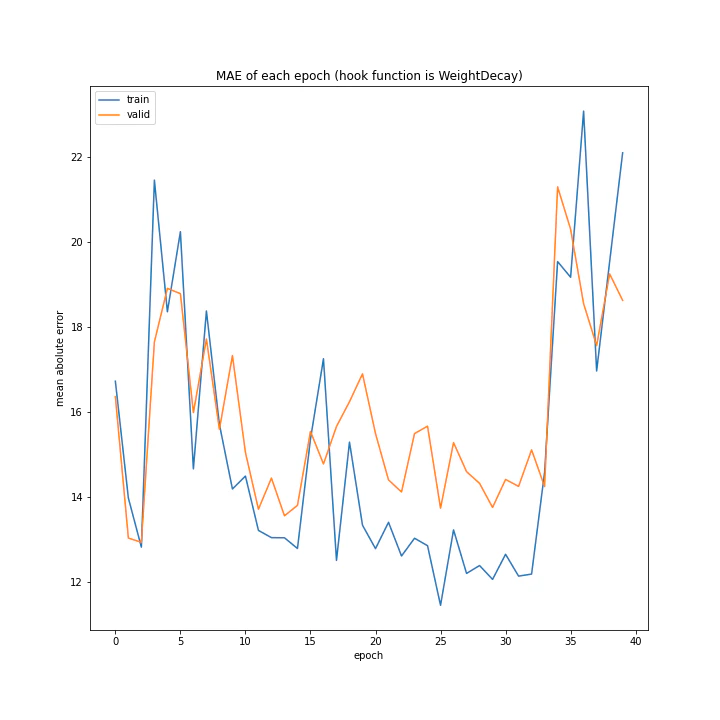 MAE of each epoch (hook function is WeightDecay).png