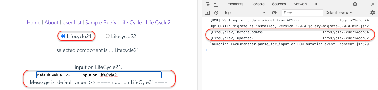 2_2_input_on_lifecycle21.png
