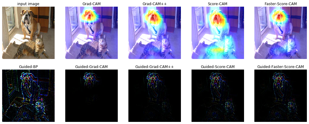 dog.png