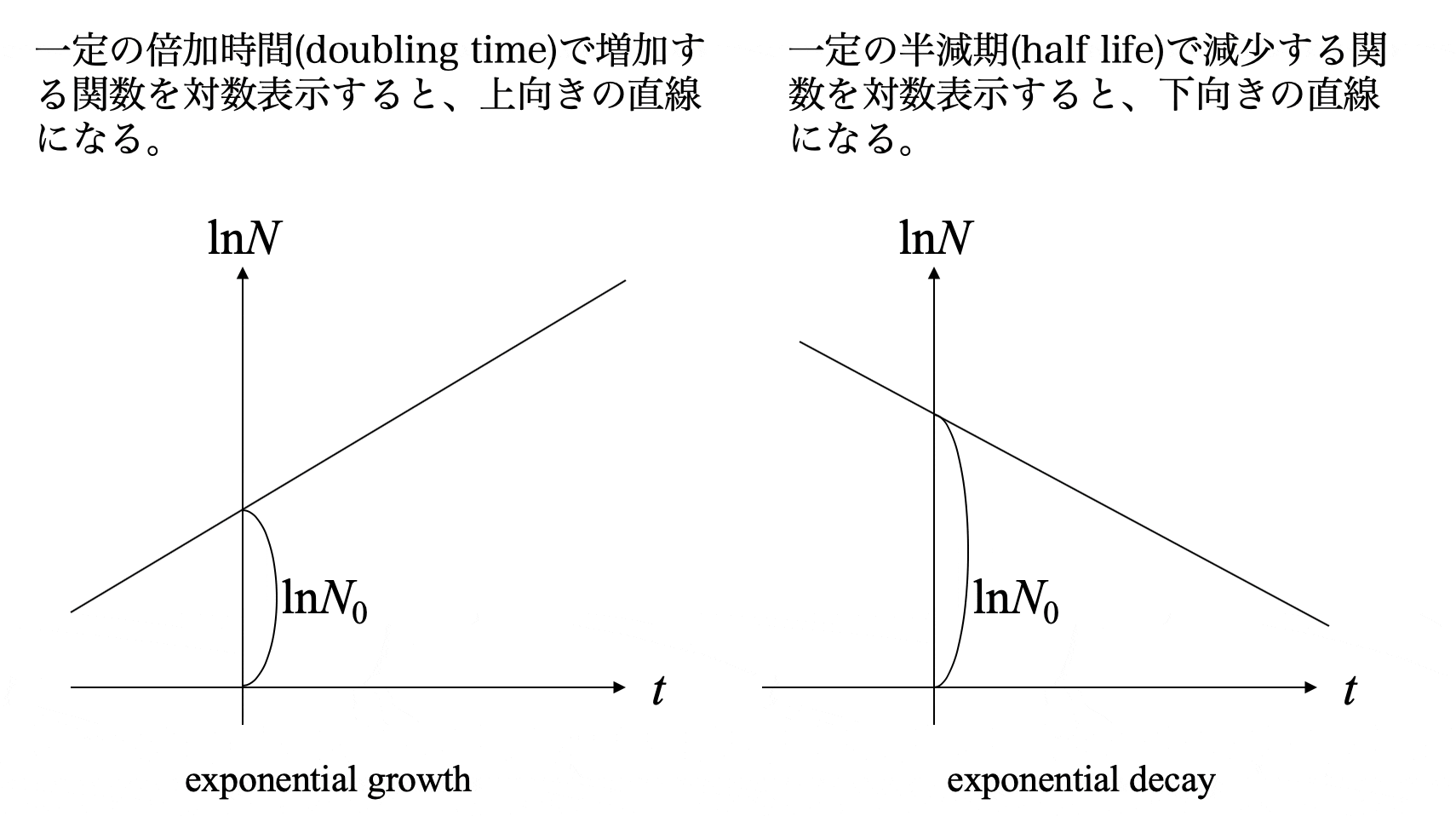 exponential_growth_decay.gif