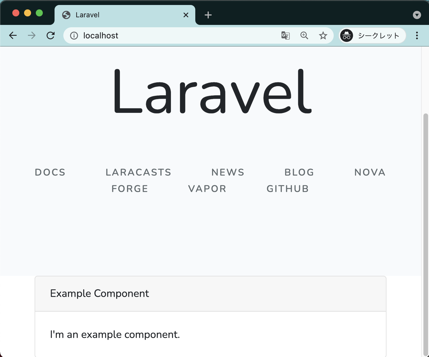 Laravel-vuejs-component_2021-09-08 16.23.19.png