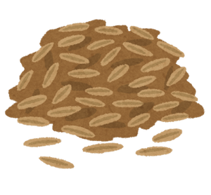 cooking_cumin_seed.png