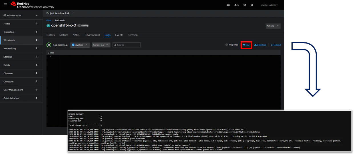 keycloak-multi-log.png