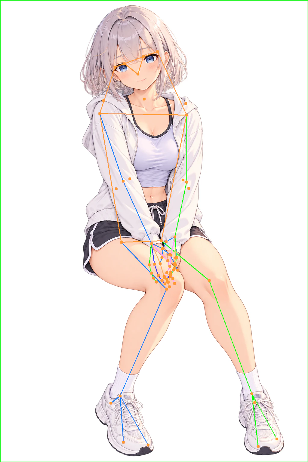 sam3d_pose_2d.png