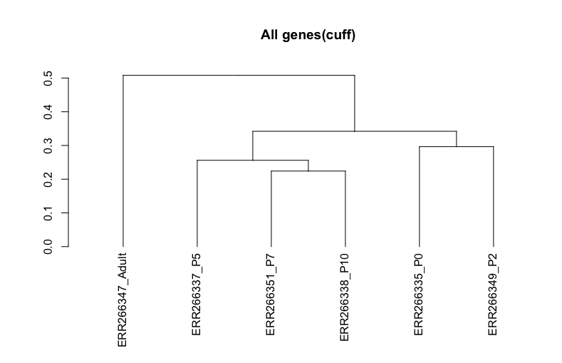 Rplot.png