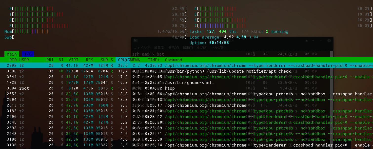 htop.png