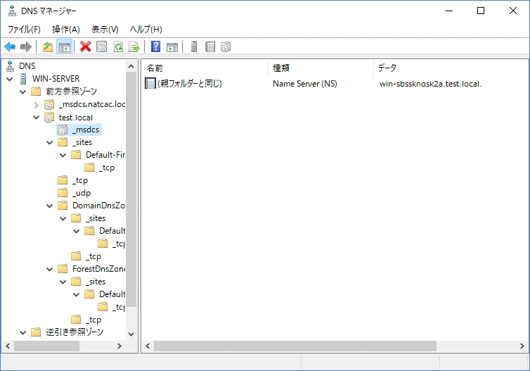 dns-manager - コピー.png