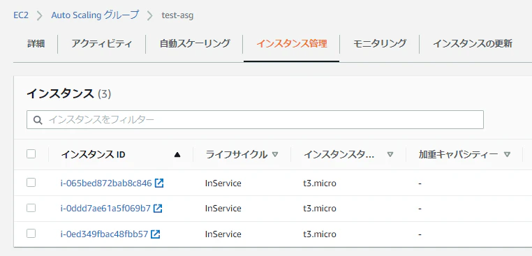 5_confirmation_asg_instances.png