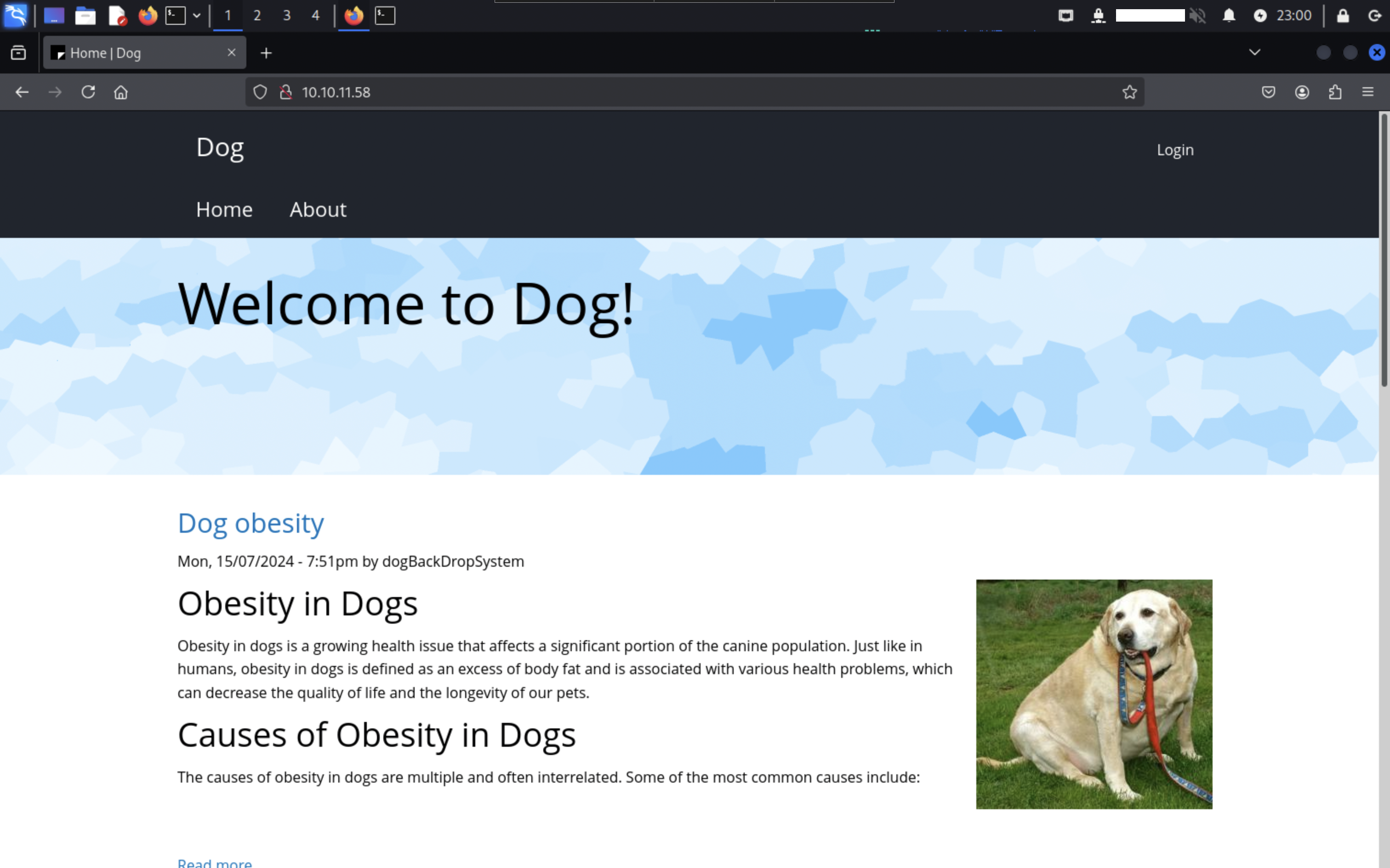 スクリーンショット 2025-03-22 23.00.37.png
