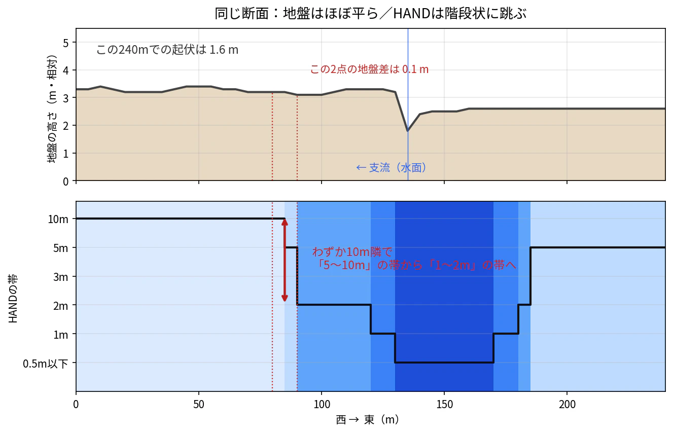 東西断面