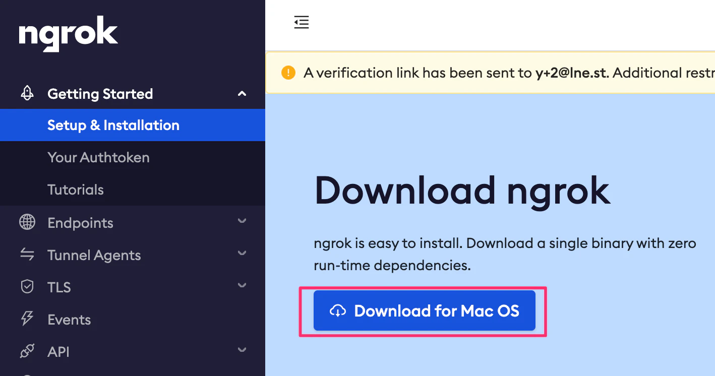 Setup_-_ngrok.png