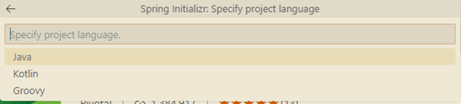 Project Language.png