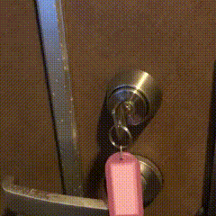 IMG_1793 (online-video-cutter.com).gif