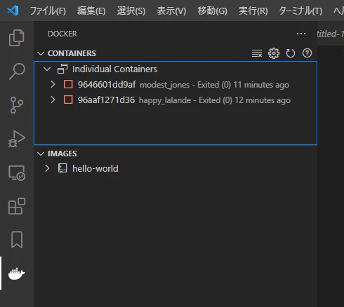 サーバ上のDockerに接続