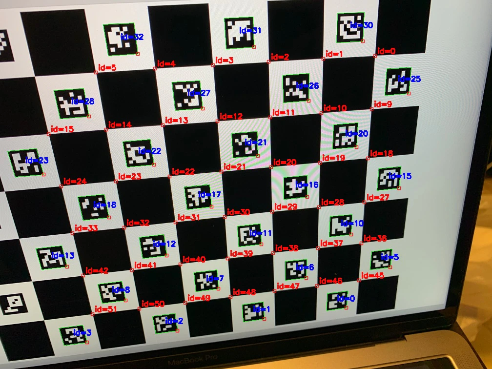 IMG_5411_detect.jpg
