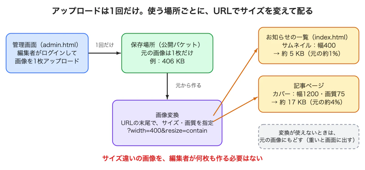 全体像