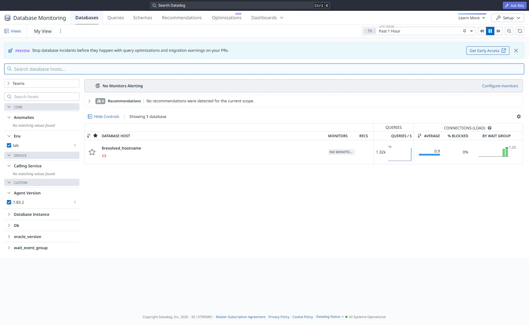 図 3: reported_hostname 無し。Database Host 列が $resolved_hostname という文字列になる