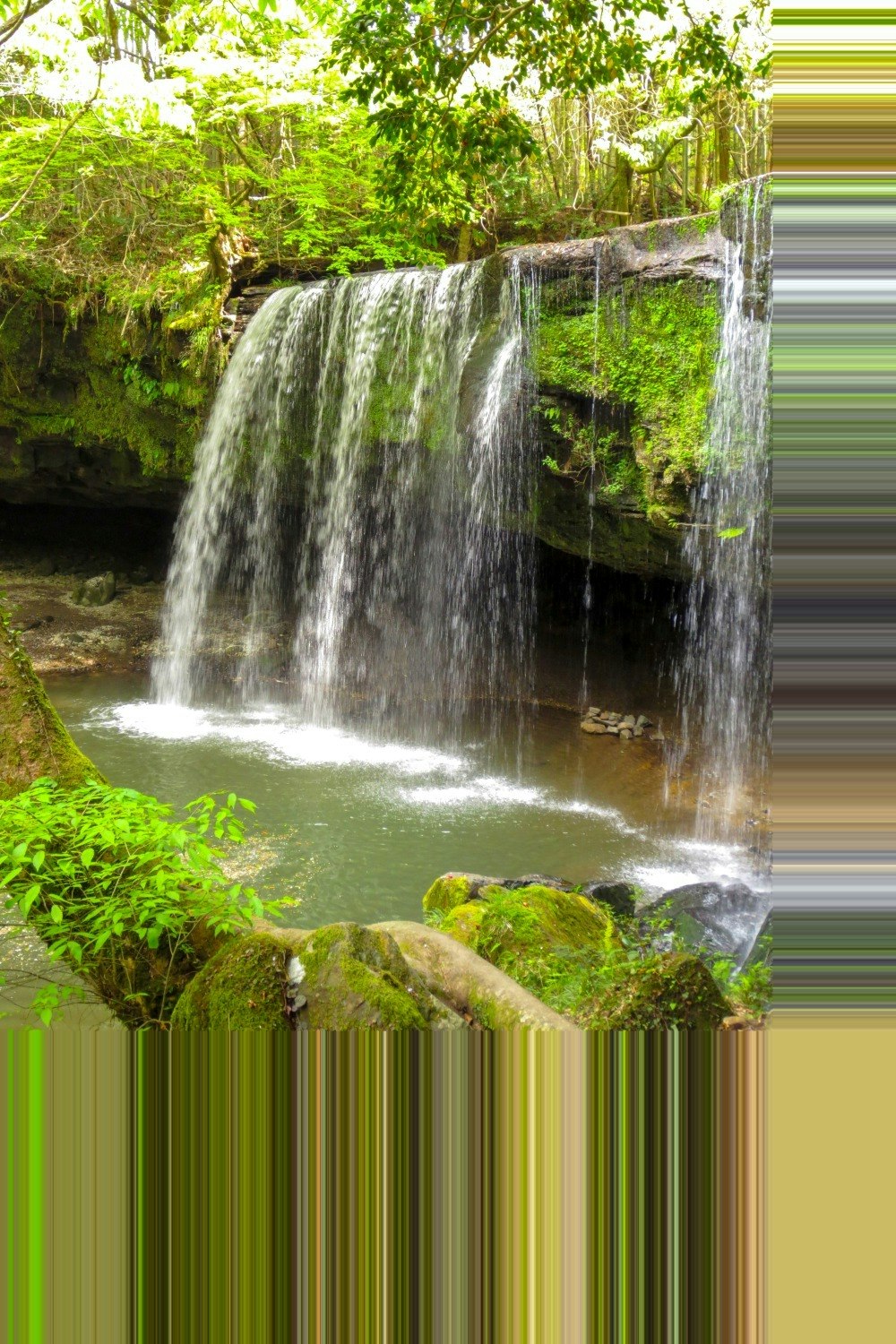 image2_pixelized.jpg