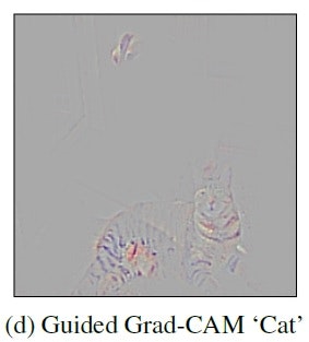 Guided-Grad-cam-cat.jpg