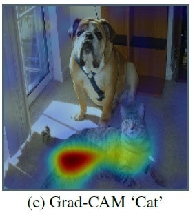 Grad-cam-cat.jpg