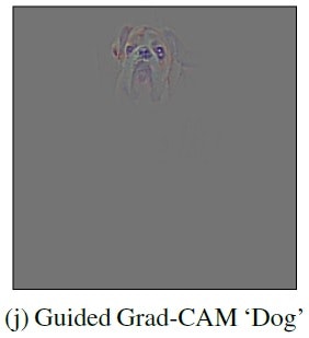 Guided-Grad-cam-dog.jpg