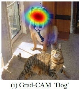 Grad-cam-dog.jpg