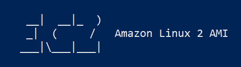 amazon linux2 ami.png