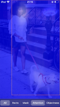 Rects Mask Attention Objectnessのコピー.png