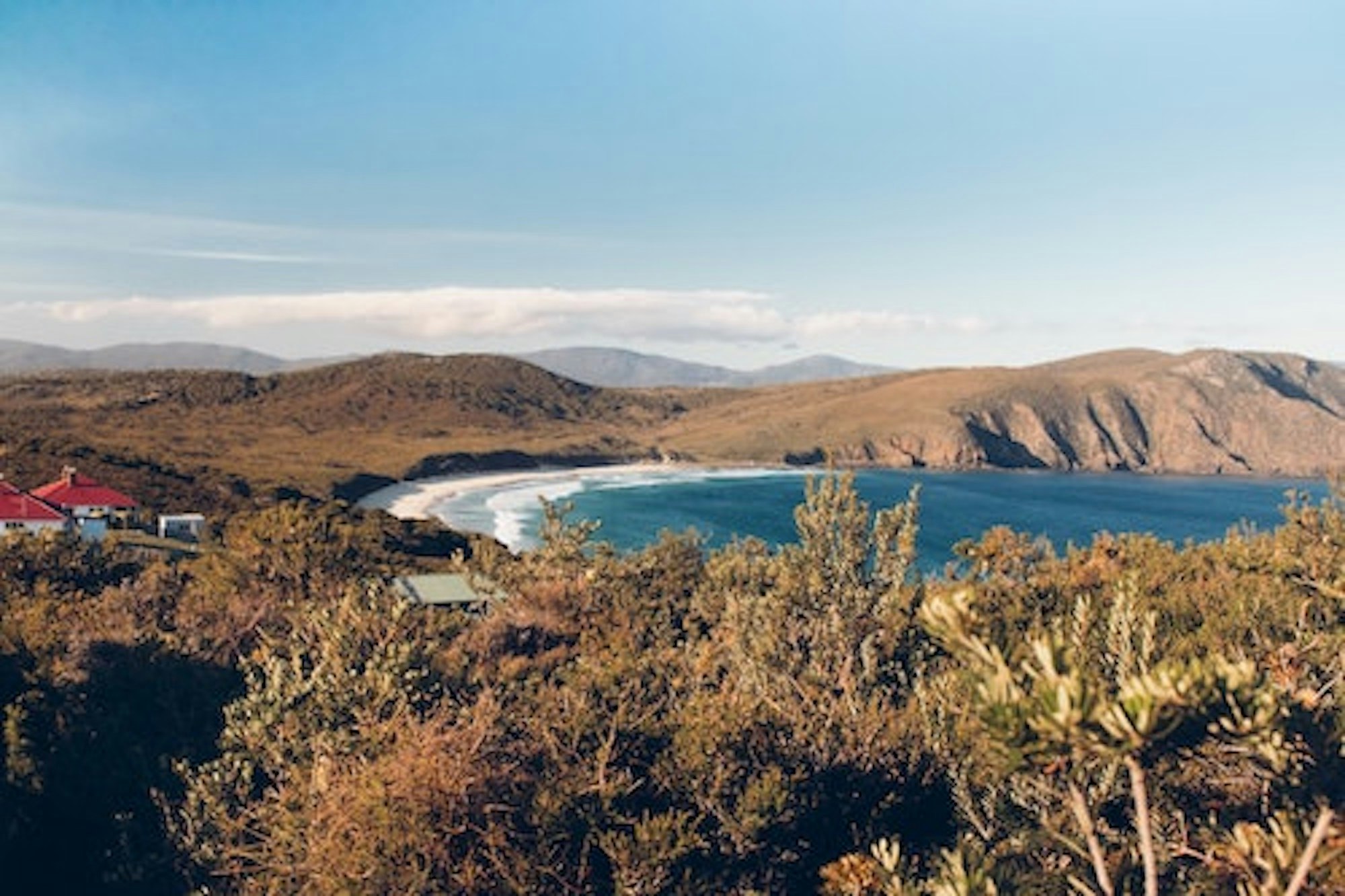 spencer-chow-6W-MS6havNk-unsplash (1).jpg