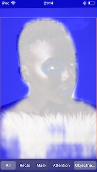 Rects Mask Attention Objectneのコピー.png