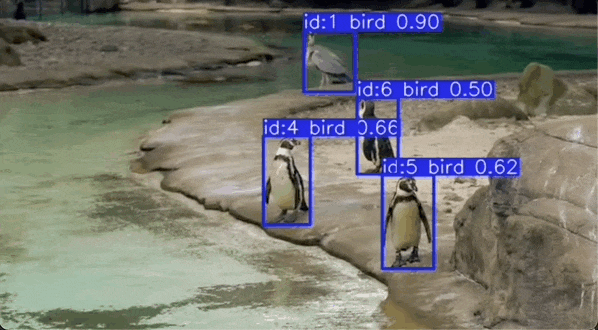 May-22-2023 22-08-05.gif