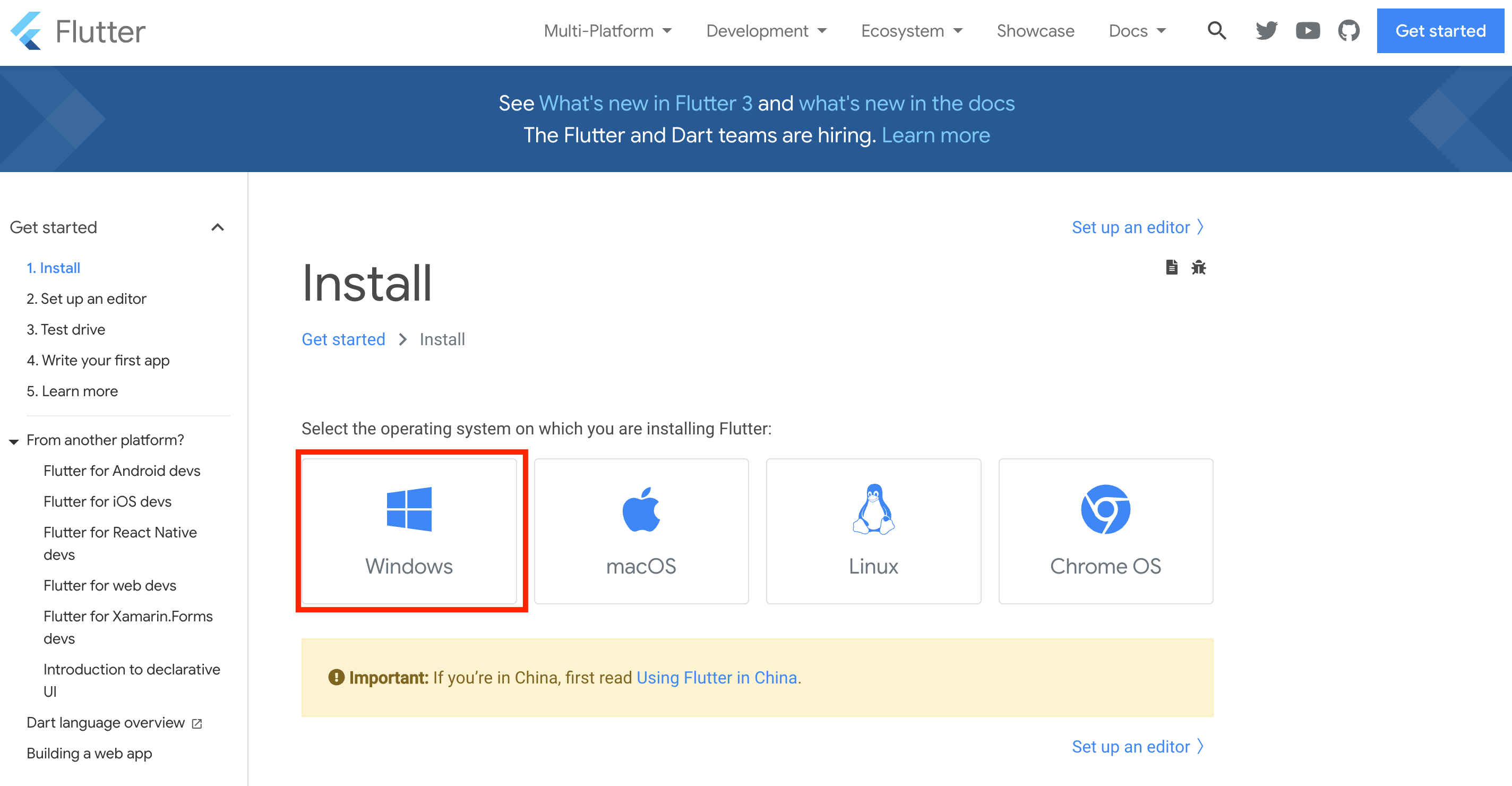 flutter initial install page.png