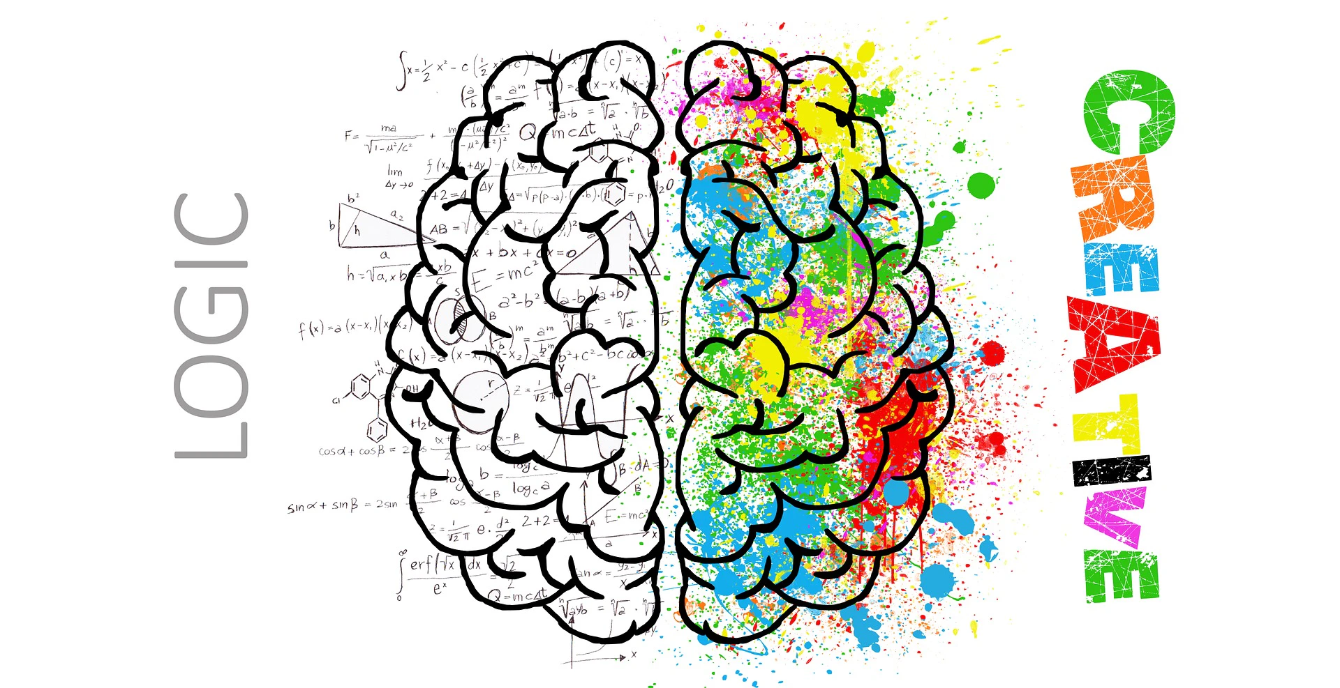 brain-g316e97611_1920.jpeg