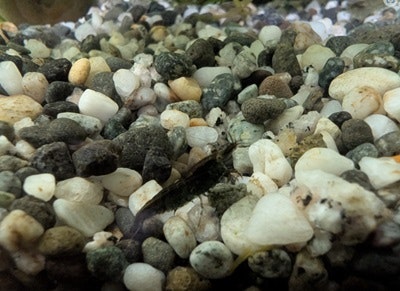 スクリーンショット 2024-12-22 191034.jpg