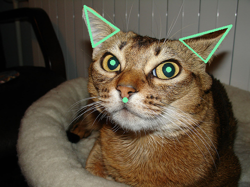 猫の顔パーツ座標