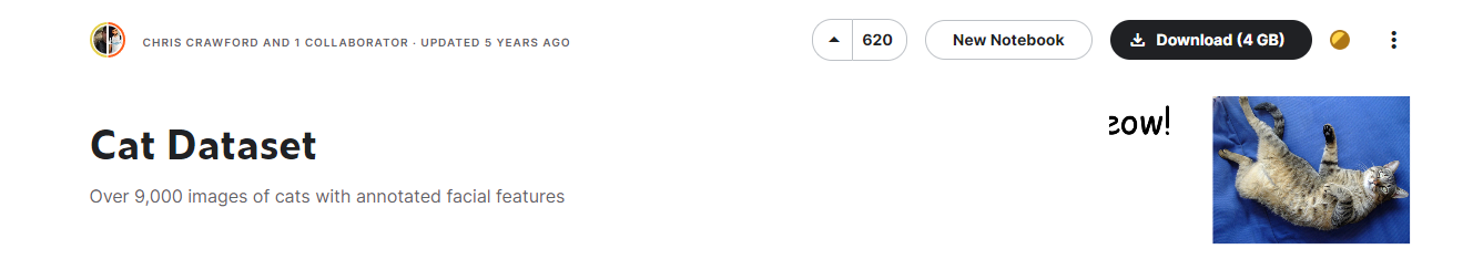 cat_dataset.png