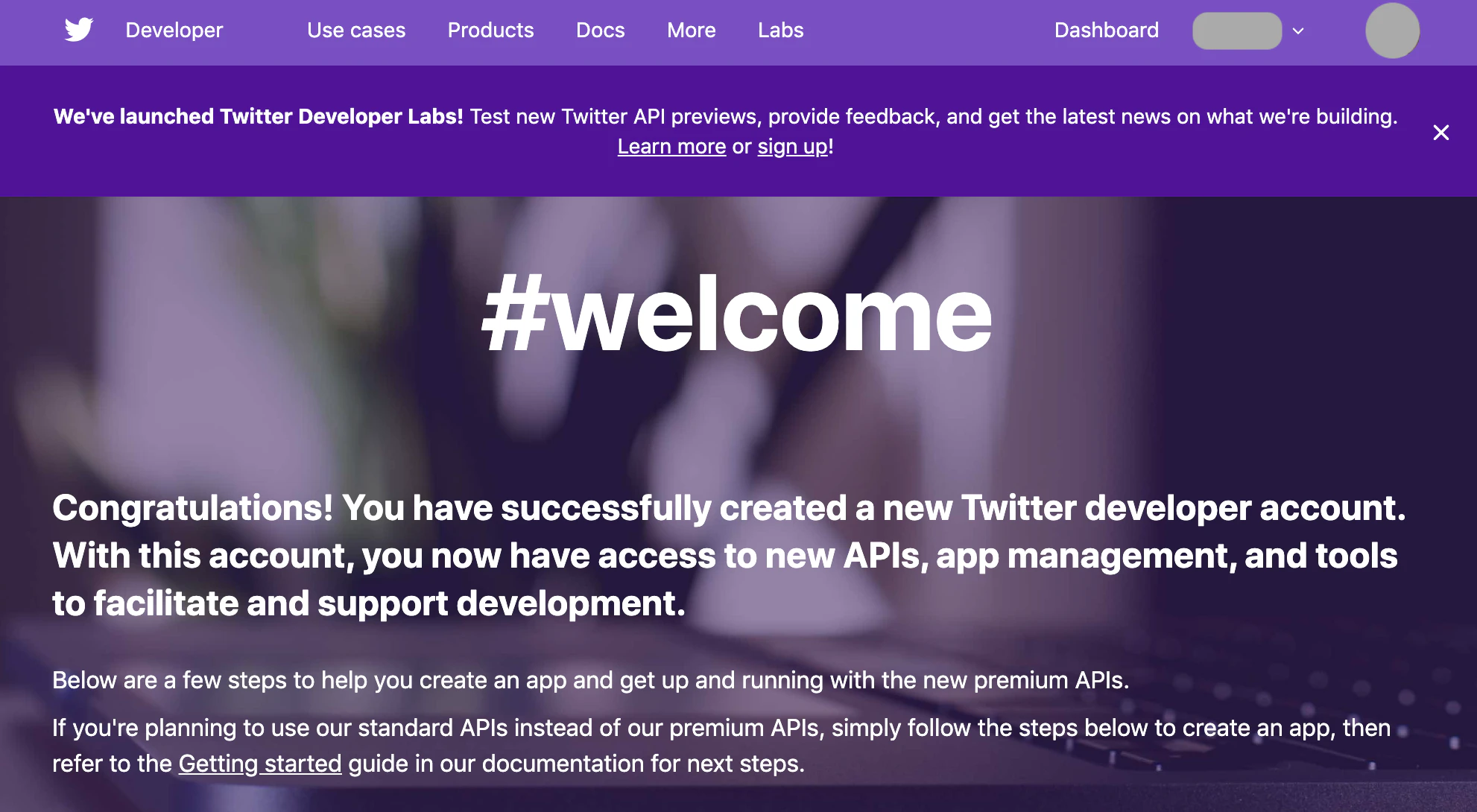 03_twitterDevAccountComplete.png
