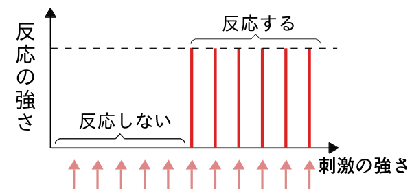 イラストで読む Ai 入門 読書メモ 02 ヒトの神経細胞とニューラルネットワーク入門の入門 シナプス ニューロン ヘッブ則 Qiita イラストで読む Ai 入門 読書メモ 02 ヒトの神経細胞とニューラルネットワーク入門の入門 シナプス ニューロン ヘッブ則 Qiita