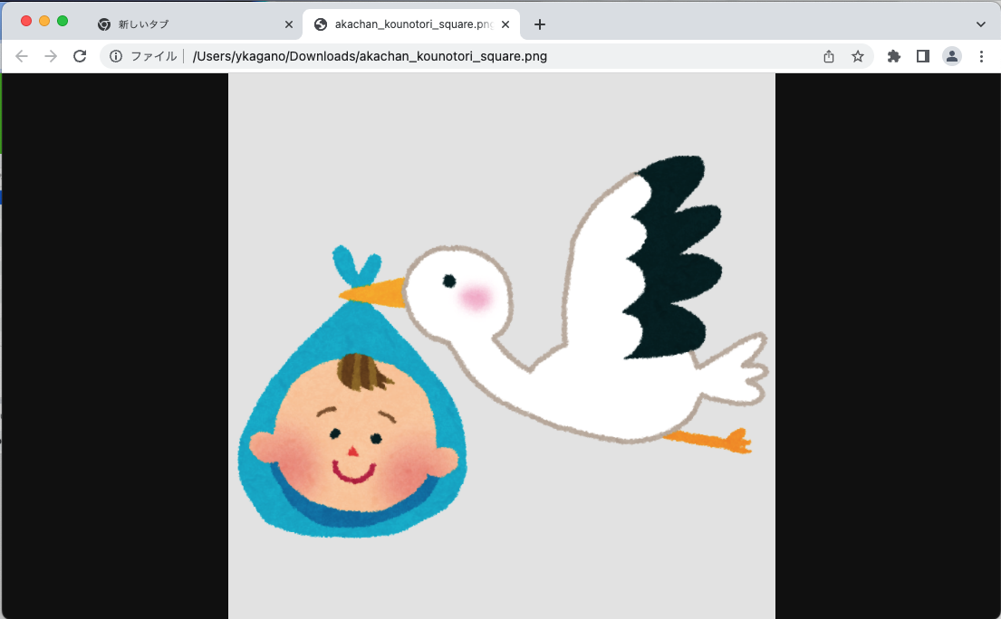ローカルの画像が表示される