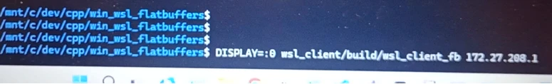 VID_wsl_client_fb.png