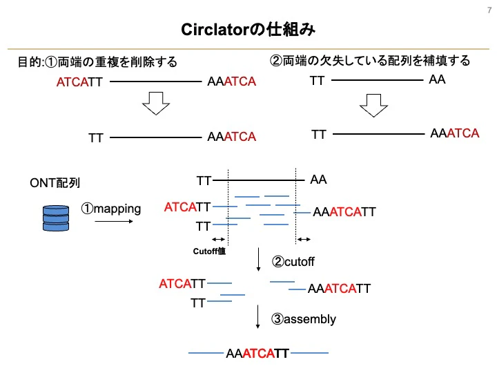Fig_2