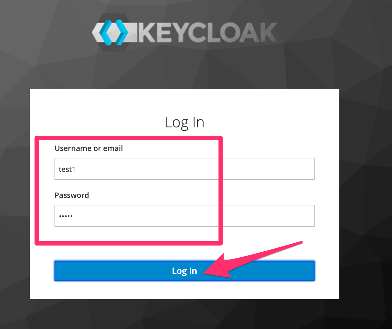 Log_in_to_Keycloak-3.png